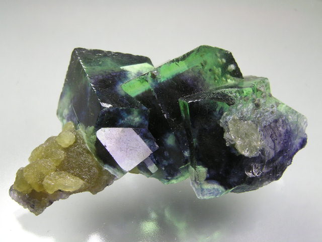 osf v828.jpg